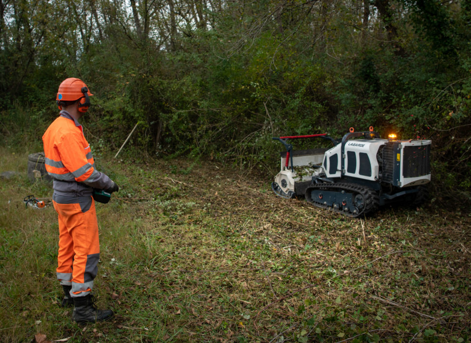 Travaux forestier