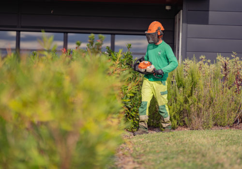 Le jardinier et la tronçonneuse