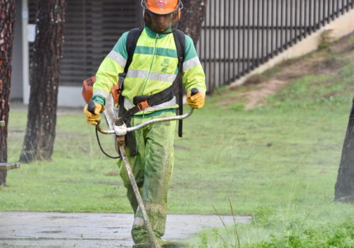 Entretien des espaces verts au Rotofil