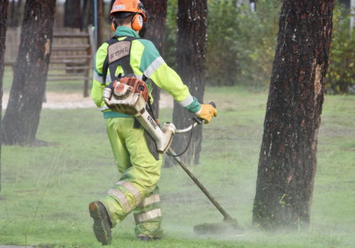 Entretien des espaces verts