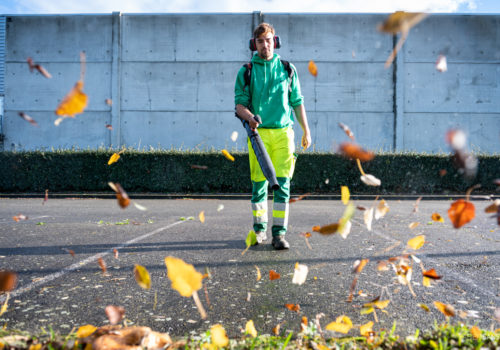 Soufflage des feuilles