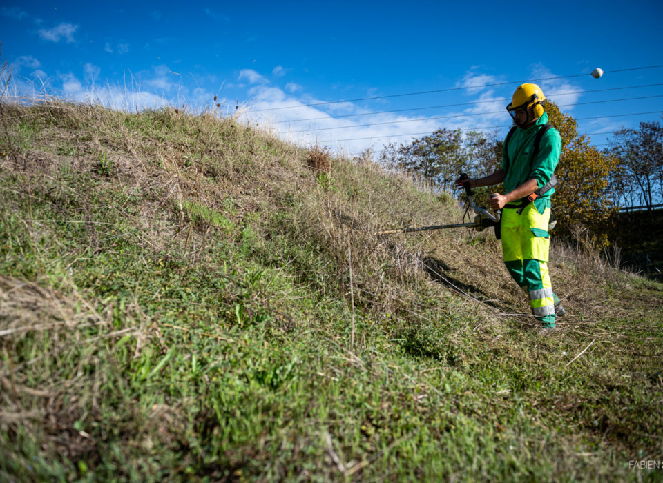 Entretien des espaces verts