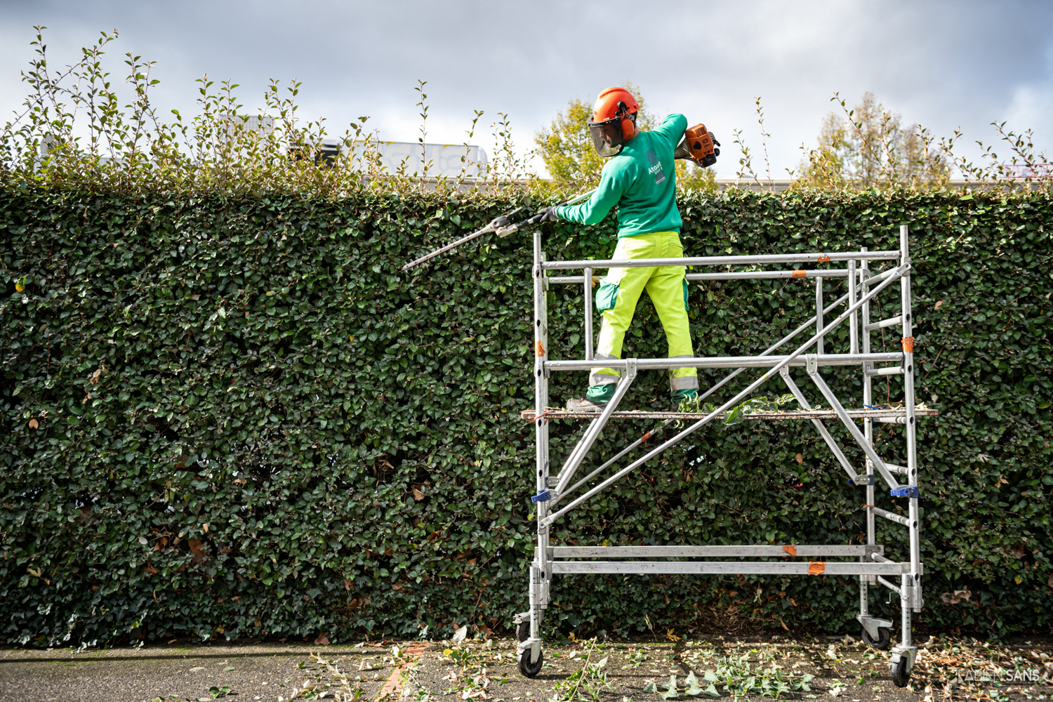 Entretien, Taille de haies - Atout Vert, entreprise paysagiste