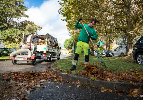 Ramassage des feuilles