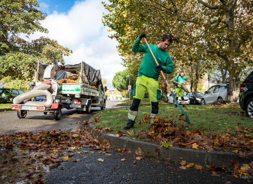 Ramassage des feuilles