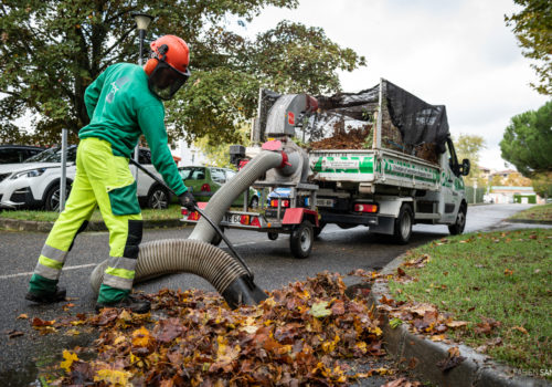 Ramassage des feuilles