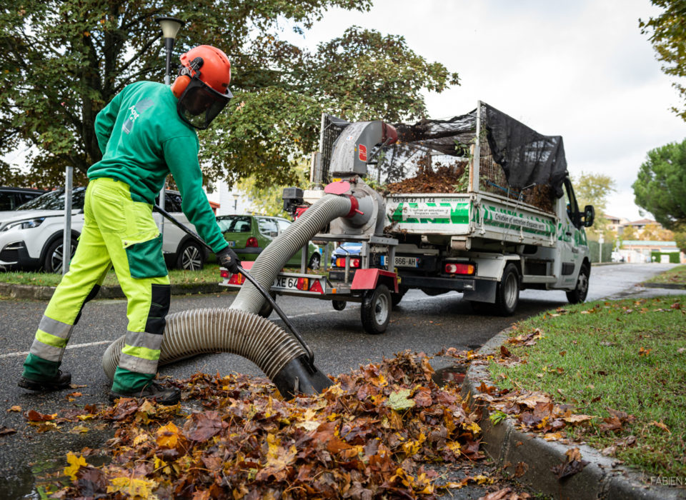 Ramassage de feuilles