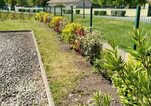 Entretien de jardin avec Atout Vert