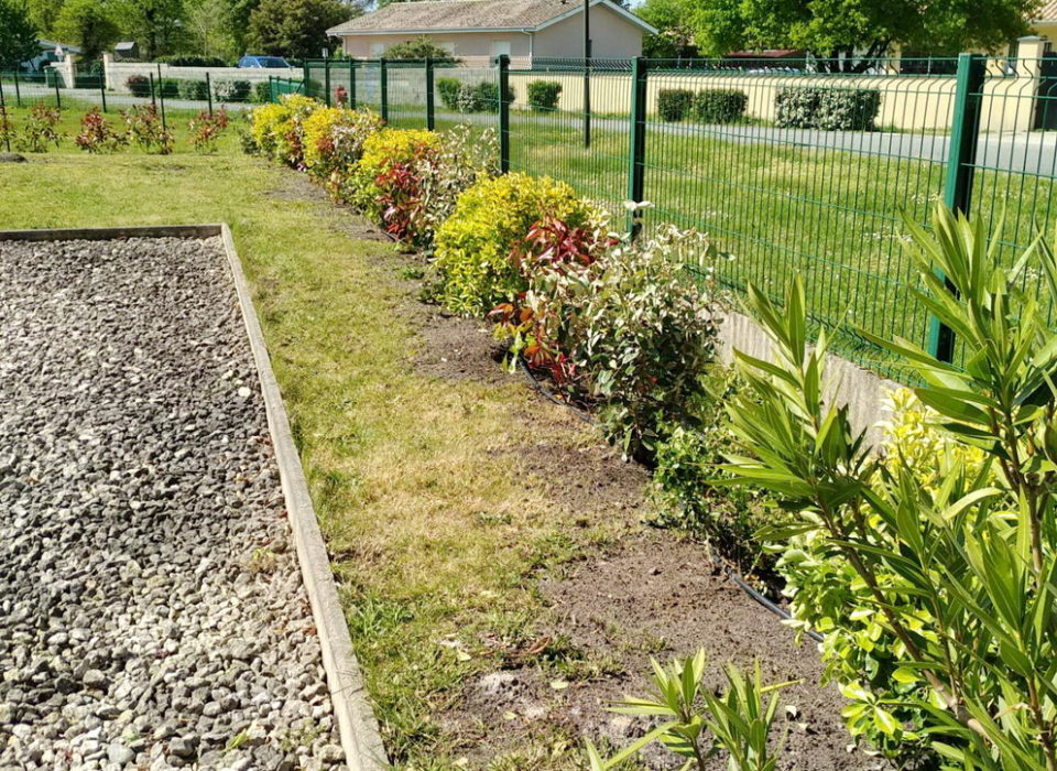 Entretien de jardin avec Atout Vert