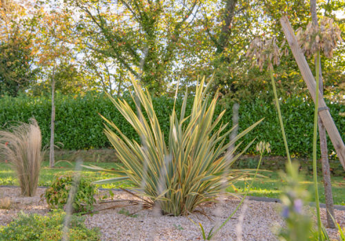 Jardin zen réalisé par Atout Vert