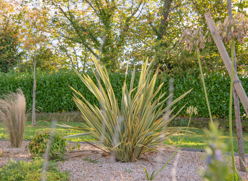 Jardin zen réalisé par Atout Vert