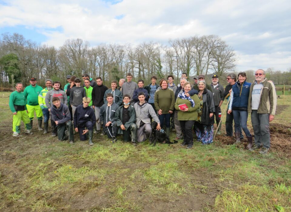 Plantation d'une forêt